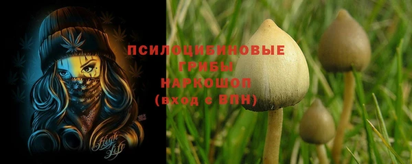 винт Нягань
