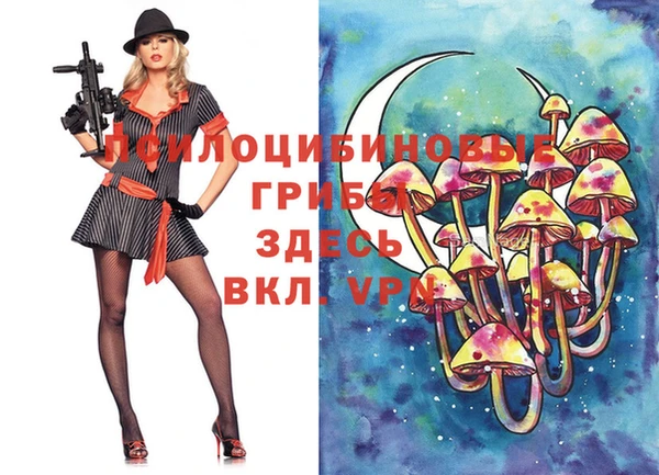 МДПВ Балахна