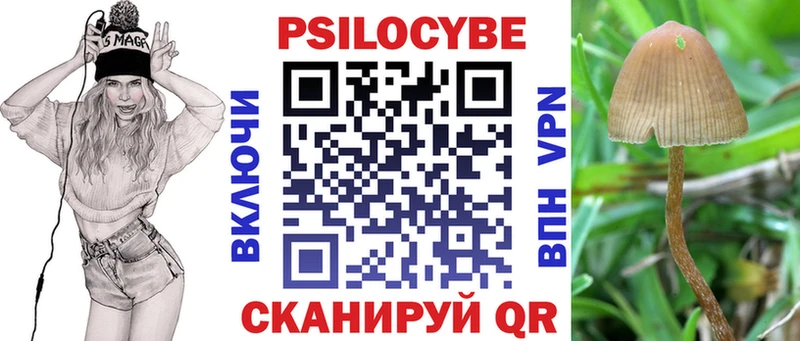 Псилоцибиновые грибы GOLDEN TEACHER  купить наркоту  Черемхово 